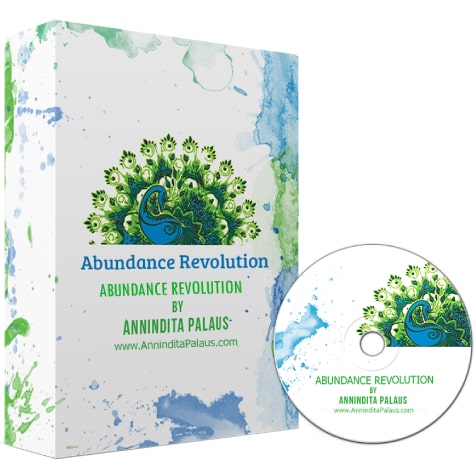 Abundance Revolution