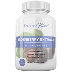 ELDERBERRY EXTRACT